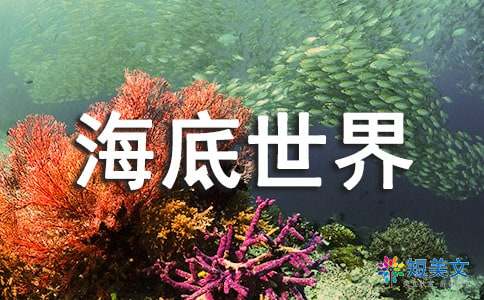 游上海大洋海底世界作文