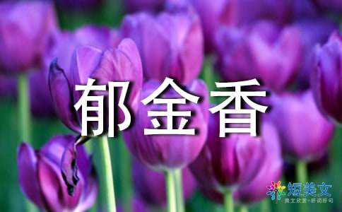 紫郁金香的花语